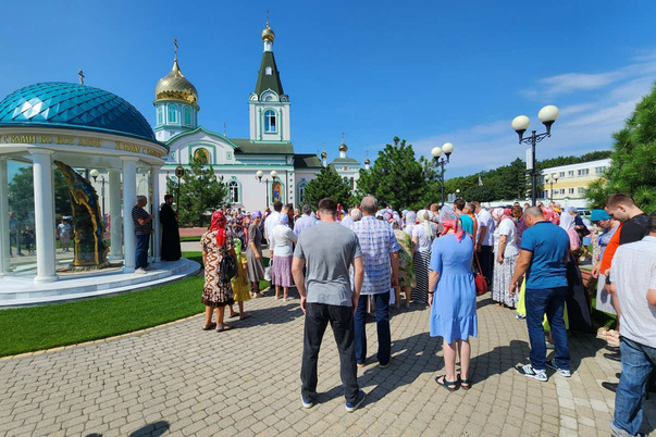 Галерея лучших фото