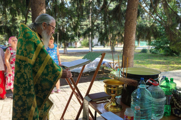 Галерея лучших фото