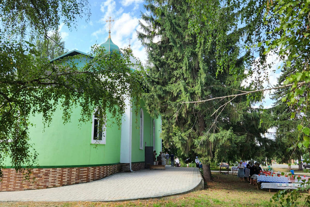 Галерея лучших фото