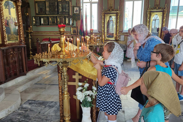 Галерея лучших фото