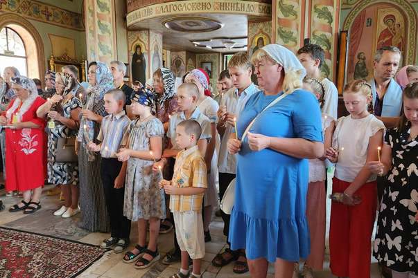 Галерея лучших фото