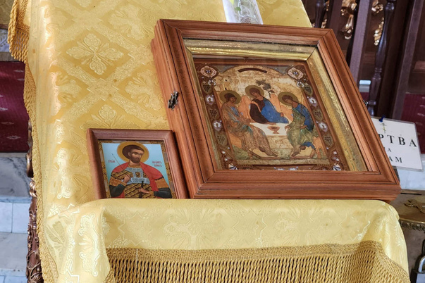 Галерея лучших фото