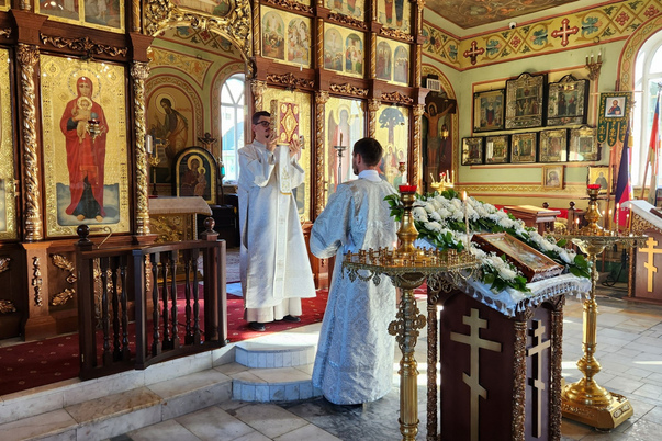 Галерея лучших фото