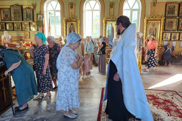 Галерея лучших фото