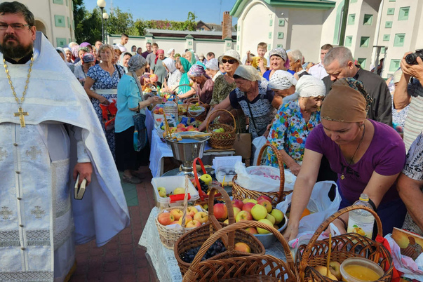 Галерея лучших фото