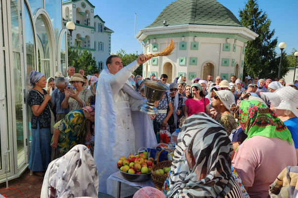 Галерея лучших фото