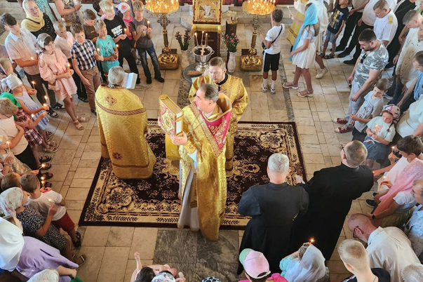 Галерея лучших фото