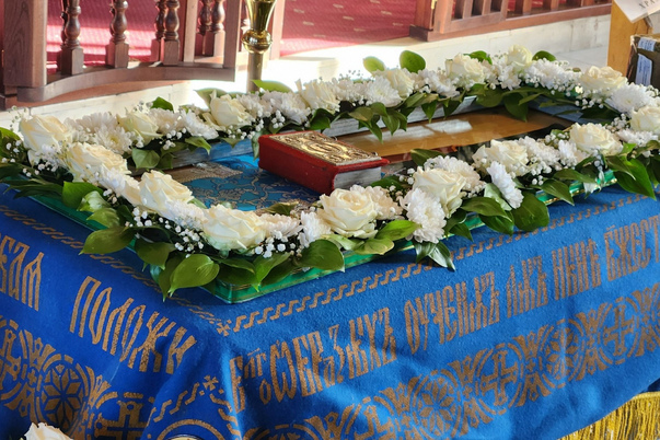 Галерея лучших фото