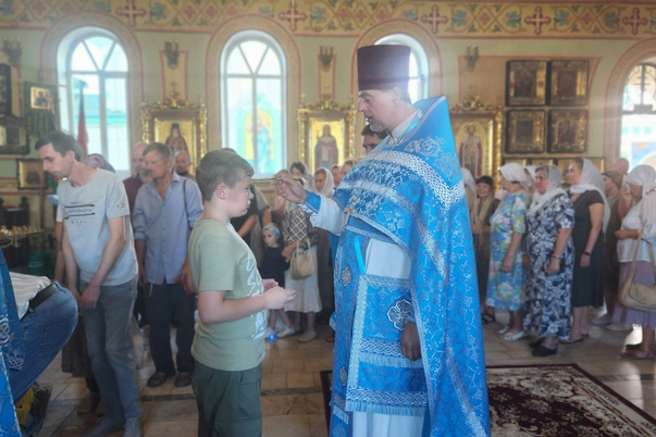 Галерея лучших фото