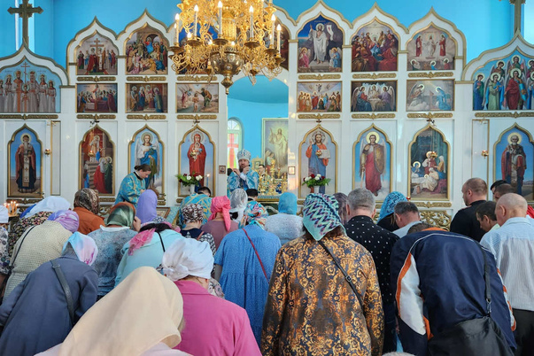 Галерея лучших фото