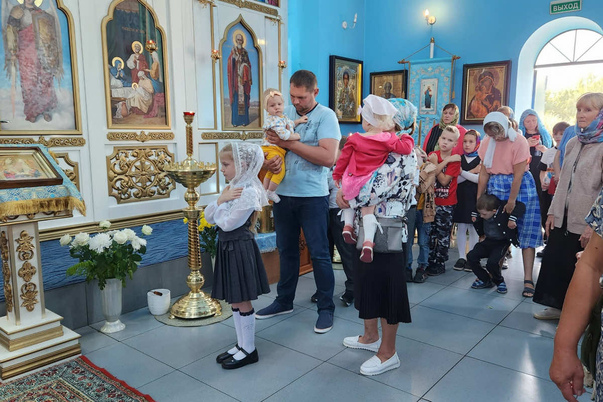 Галерея лучших фото