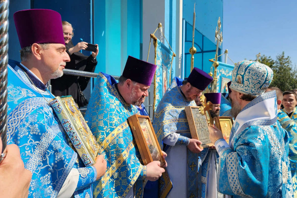 Галерея лучших фото