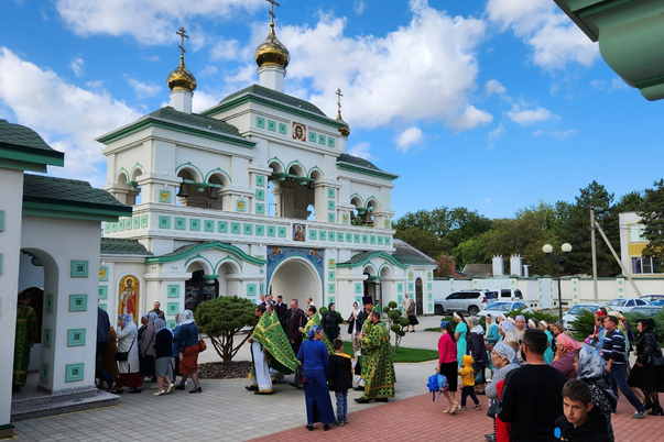 Галерея лучших фото
