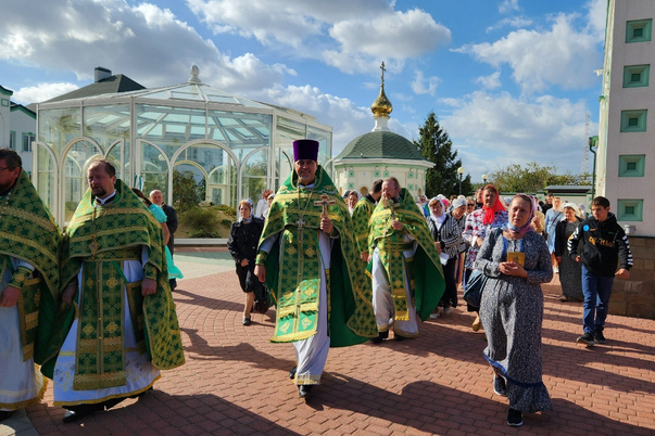 Галерея лучших фото