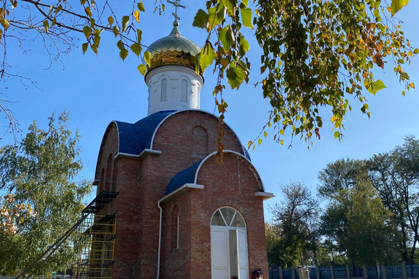 Галерея лучших фото