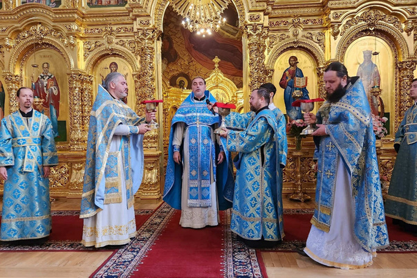 Галерея лучших фото