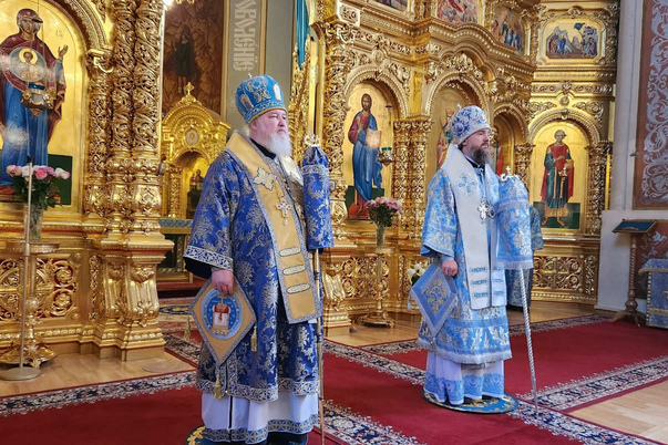 Галерея лучших фото