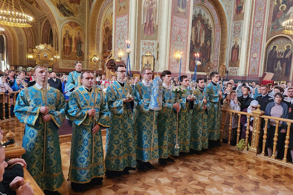 Галерея лучших фото