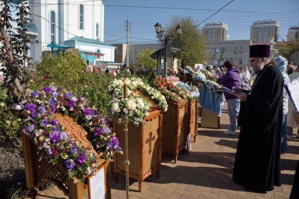 Галерея лучших фото