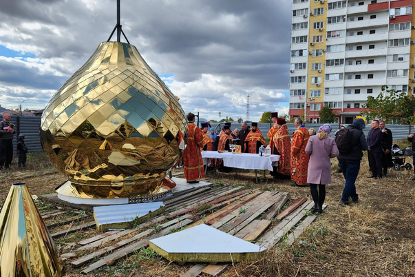 Галерея лучших фото