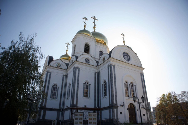 Галерея лучших фото