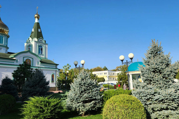 Галерея лучших фото