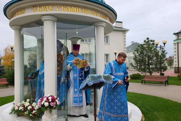 Галерея лучших фото