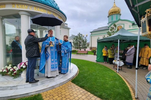 Галерея лучших фото