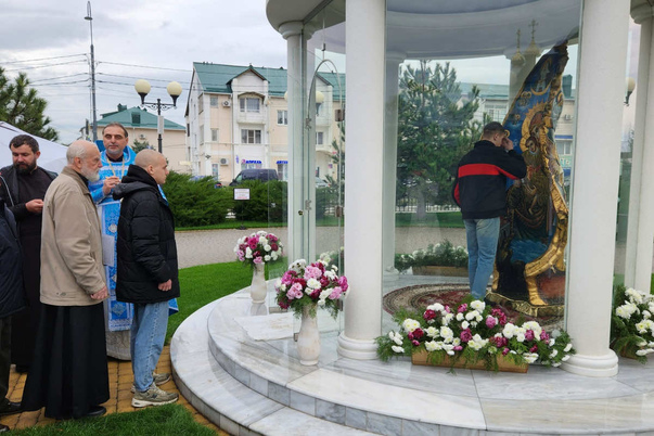 Галерея лучших фото