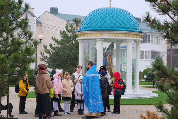 Галерея лучших фото