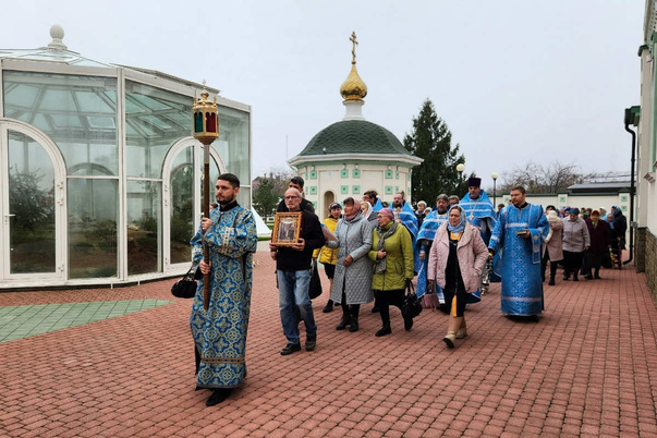 Галерея лучших фото