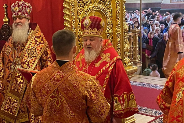 Галерея лучших фото