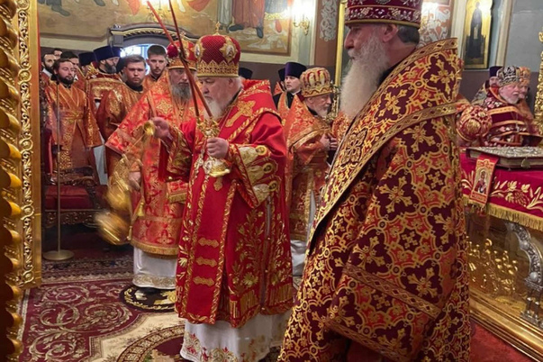 Галерея лучших фото