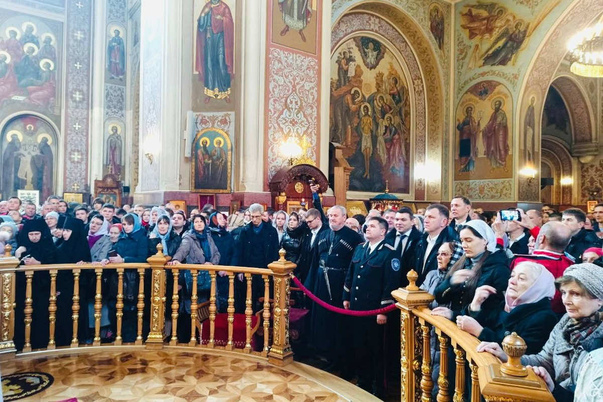 Галерея лучших фото