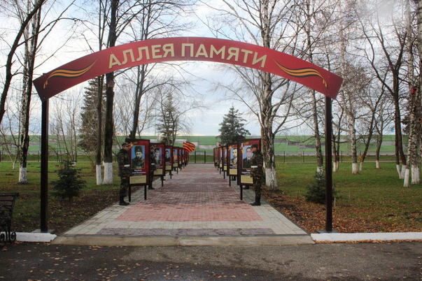 Галерея лучших фото