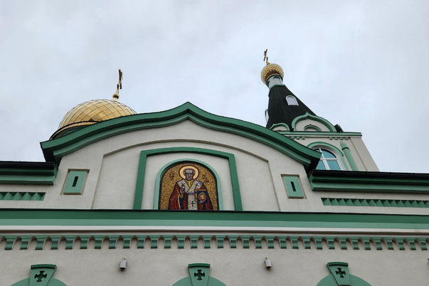 Галерея лучших фото