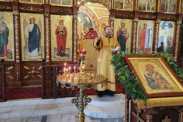 Галерея лучших фото