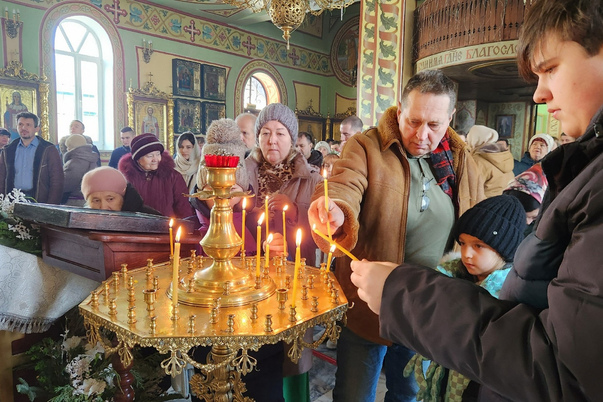 Галерея лучших фото