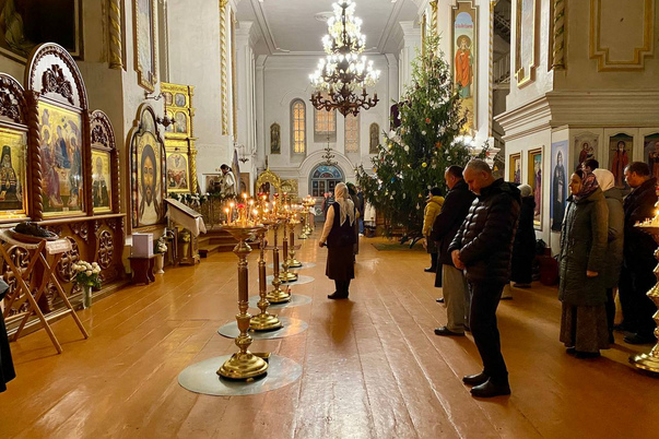 Галерея лучших фото