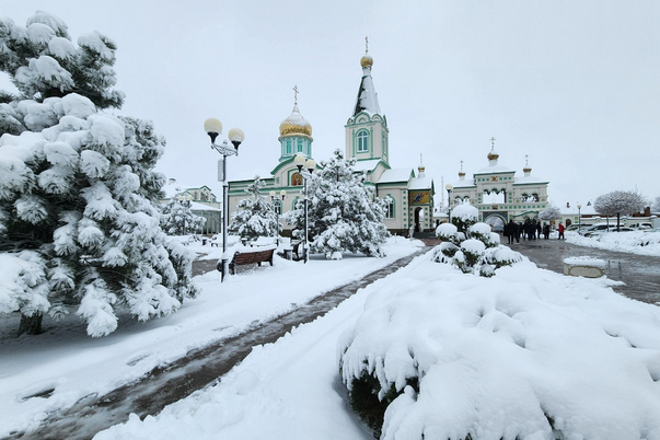 Галерея лучших фото