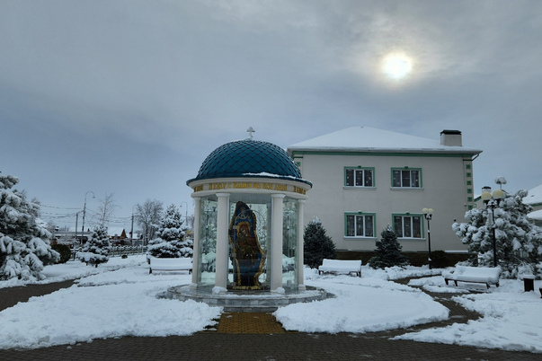 Галерея лучших фото