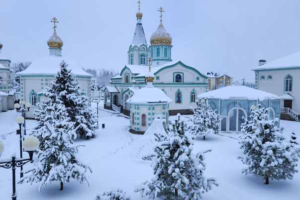 Галерея лучших фото