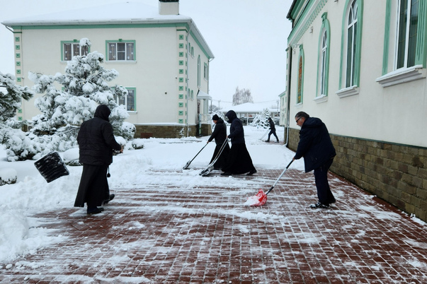 Галерея лучших фото