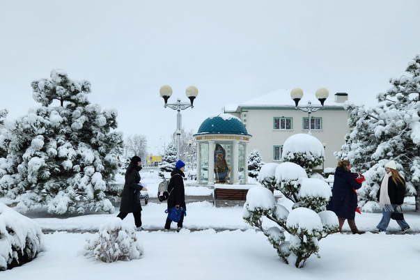 Галерея лучших фото