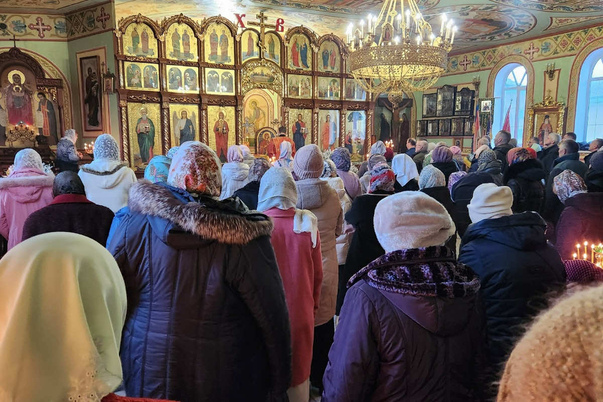 Галерея лучших фото