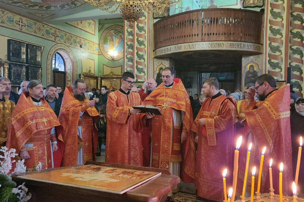 Галерея лучших фото