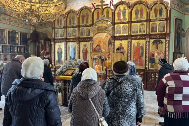 Галерея лучших фото