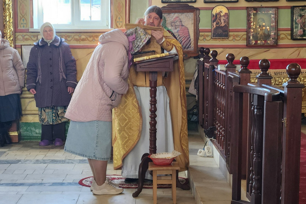 Галерея лучших фото