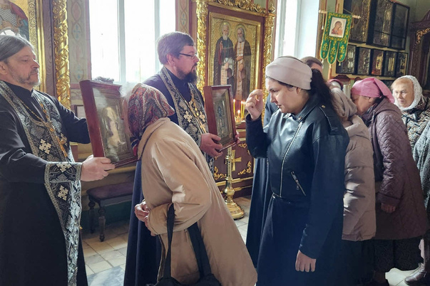 Галерея лучших фото