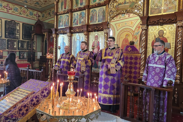 Галерея лучших фото